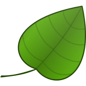 Green Leaf Clipart