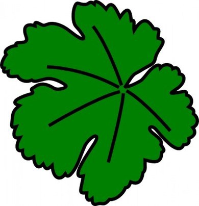 Grape Leaf Template. grape leaf stock photos amp pictures royalty ...