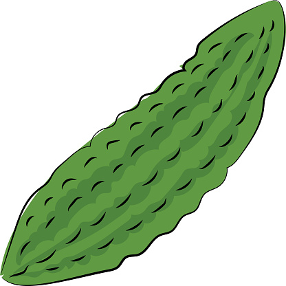 Bitter Gourd Clip Art, Vector Images & Illustrations