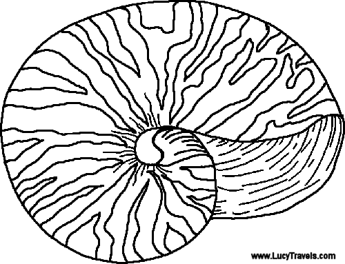 1000+ images about Coloring Book | Coloring, Sea ...