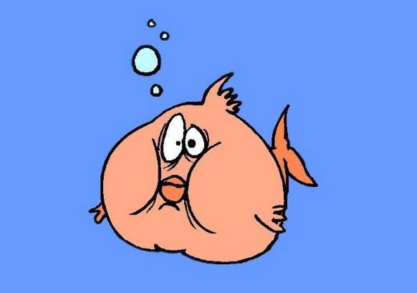 Funny Cartoon Fish | Free Download Clip Art | Free Clip Art | on ...
