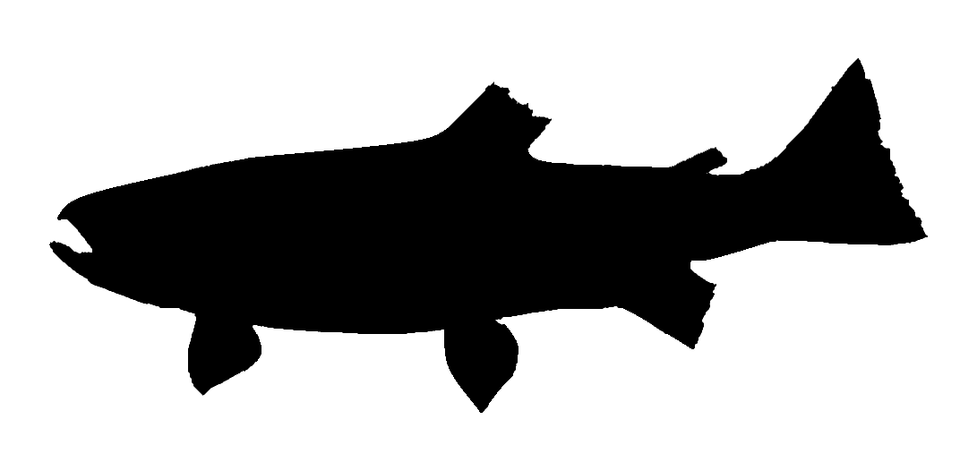 Trout Silhouette | Free Download Clip Art | Free Clip Art | on ...
