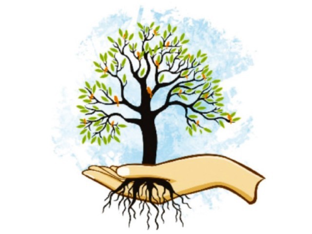 Plantation drive: CDA aims to plant 0.3m saplings - The Express ...