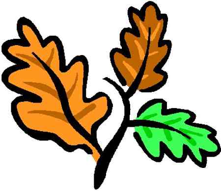 Leaf tree clipart free