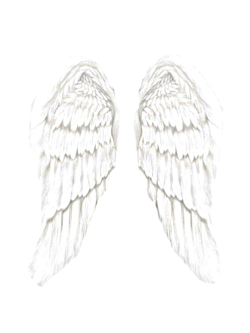 White Wings Of Angel - ClipArt Best