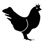 Chicken | Photos and Vectors | Free Download