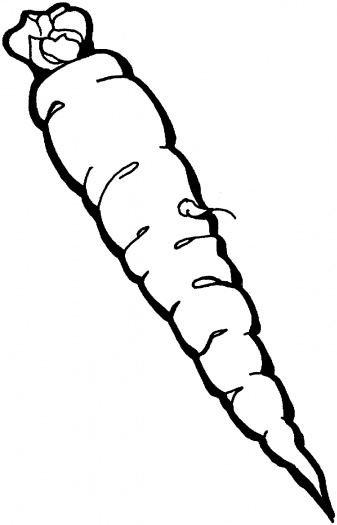 Carrots coloring pages | Super Coloring