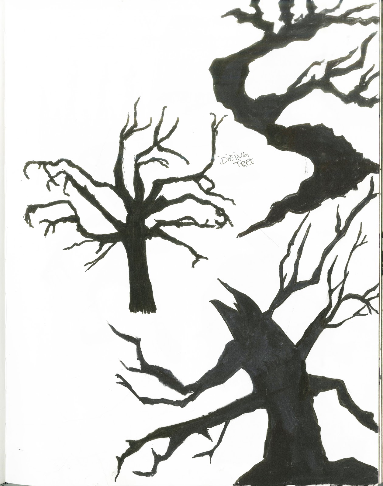 Creepy Dead Tree Drawing