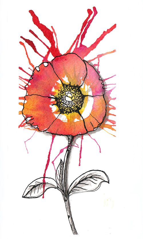 Flower Pen and Ink drawings | Melanie Chadwick