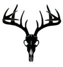 Northeastern Woodland Designs