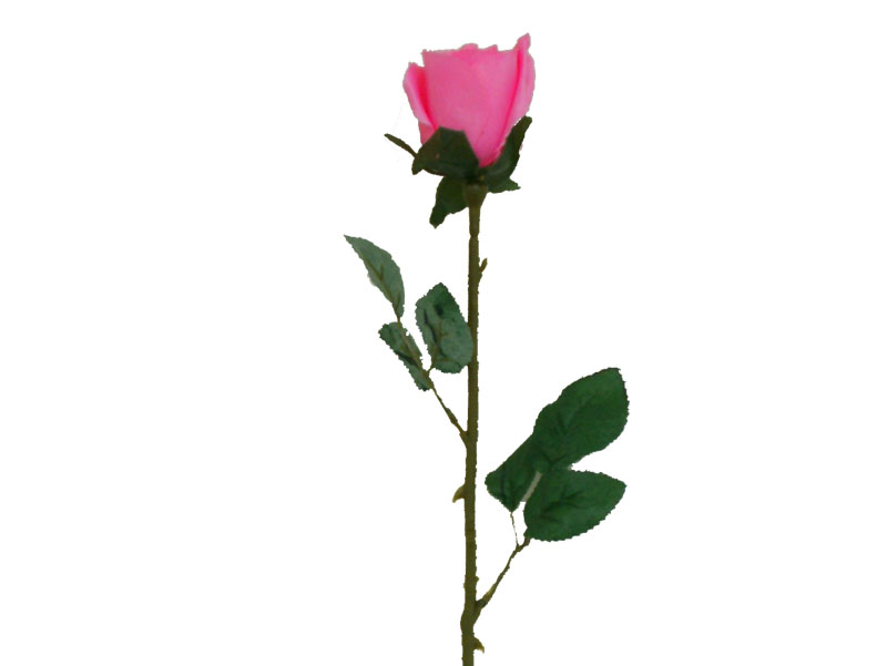 Long Stem Rose Tattoo