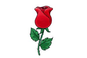 How to Draw a Rose | DrawingNow