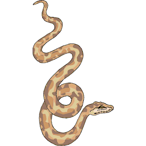 Snake clipart, cliparts of Snake free download (wmf, eps, emf, svg ...