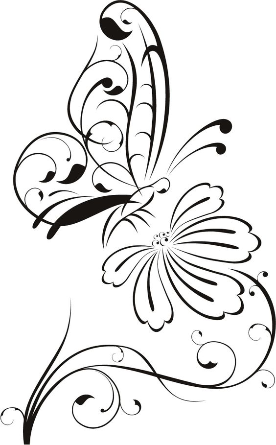 Drawing flowers, Flower and Search