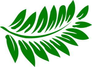 Fern Images Clip Art - ClipArt Best