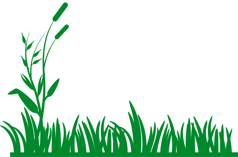 Grass Field Clipart - Free Clipart Images