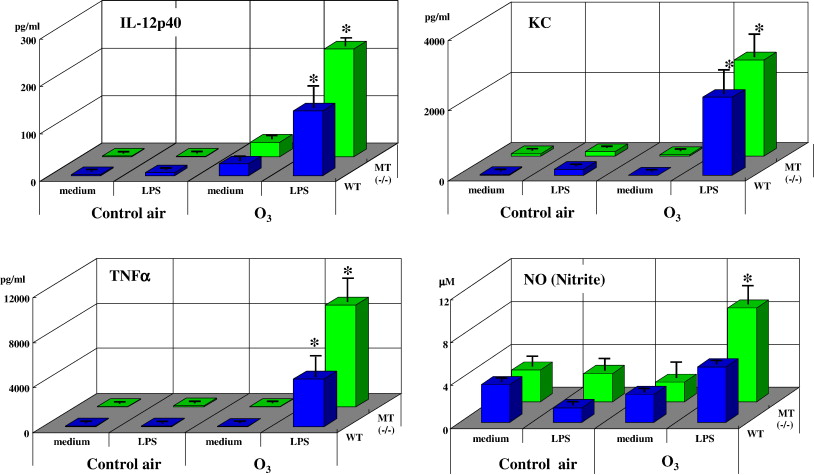 Role of metallothionein in lung inflammation induced by ozone ...