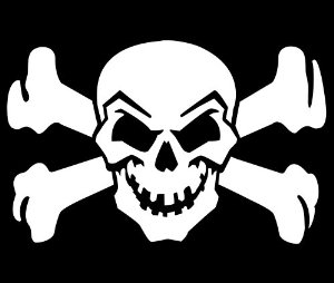Skull & Crossbones Die Cutz -White Decal : Amazon.com : Automotive