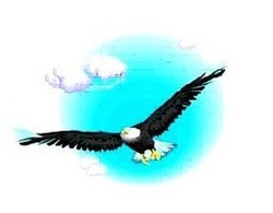 Eagle In A Storm - ONLY GOD