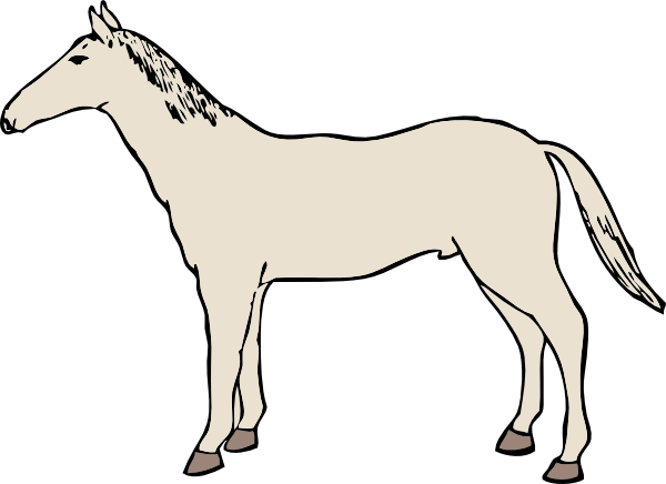 Coon Clipart - Free Clipart Images