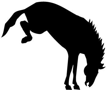 Bronco horse clipart