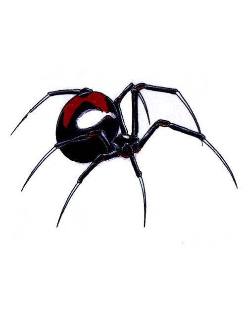 Black Widow Spider Tattoo Designs