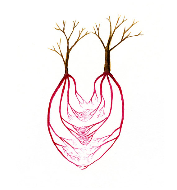 Two Trees and a Heart Art Anatomical Heart by LittleBeanPrints
