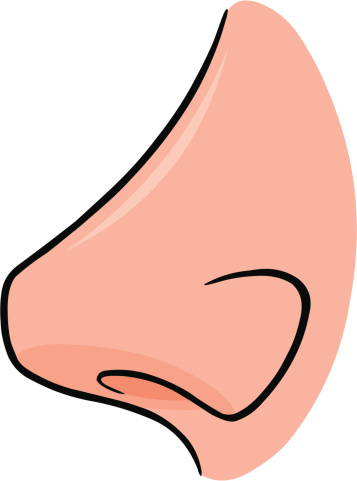 Nose cartoon clipart