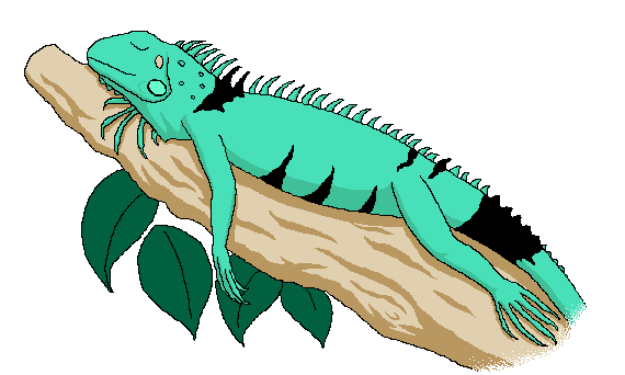 Cartoon Iguana Pictures | Free Download Clip Art | Free Clip Art ...