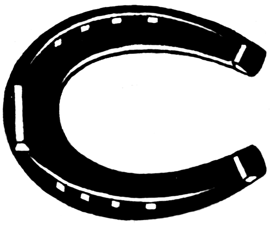 Horseshoe (PSF).png