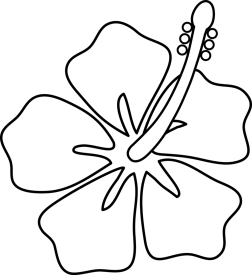 Hibiscus Flower Line Art Free Clip Art | HomeImprovementBasics.