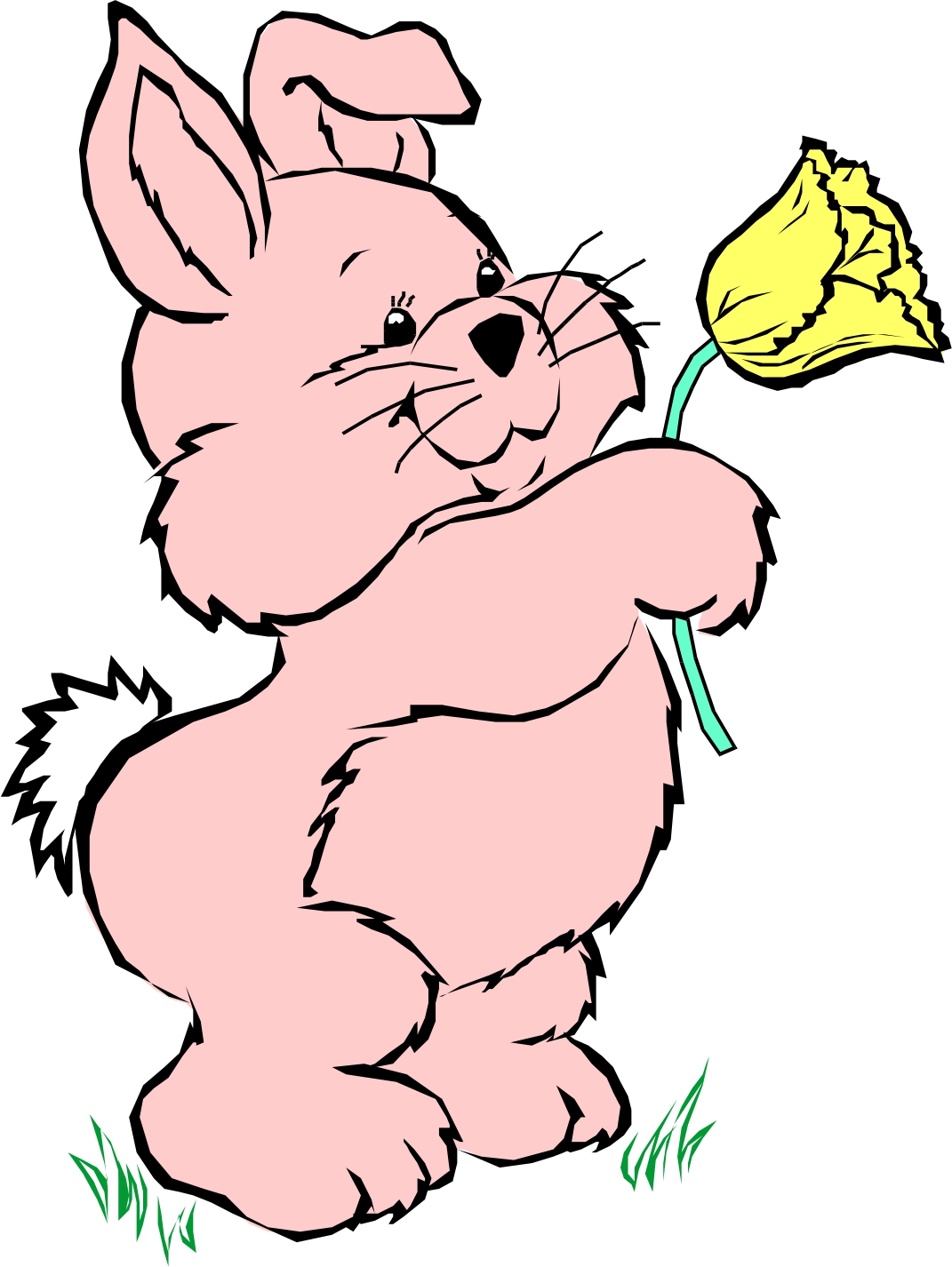 Cartoon Rabbit
