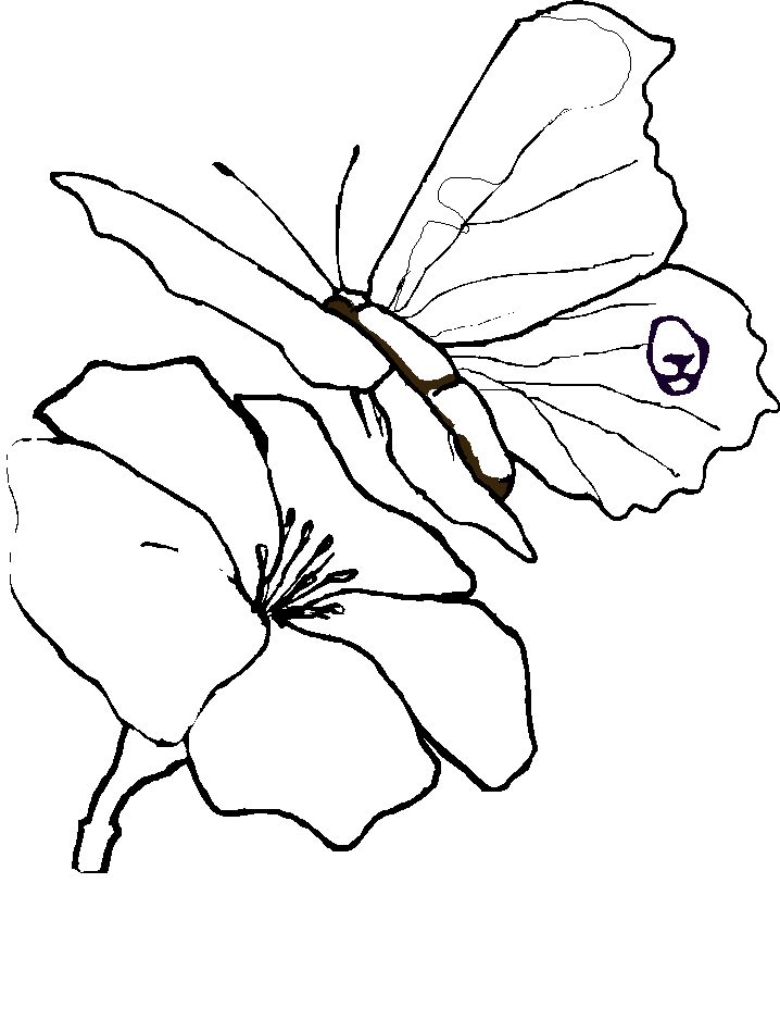 Beautiful butterfly draw Near the Rose Coloring Page - Flowers ...