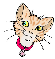 Felines - info and online games