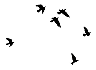 Small Bird Silhouette - ClipArt Best
