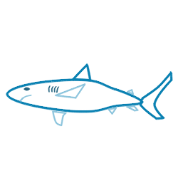 Drawing a cartoon shark