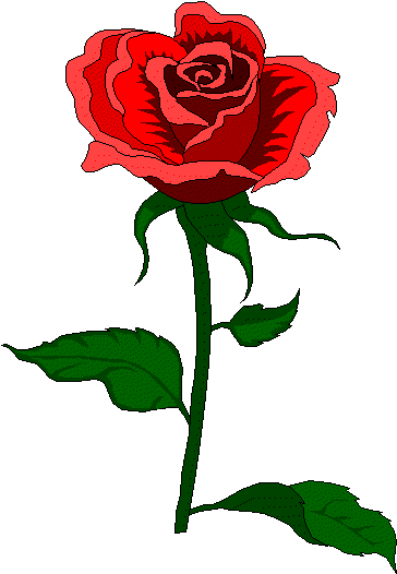 Rose Graphics, Rose Glitter Images, Rose Glitters for Orkut, Myspace