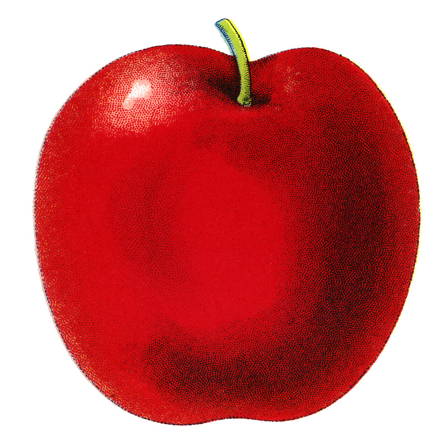 BoxOfApples :: Kitchen and Restaurant Decor :: Fruit Crate Label Art