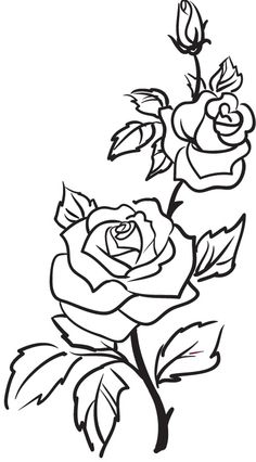 outlines