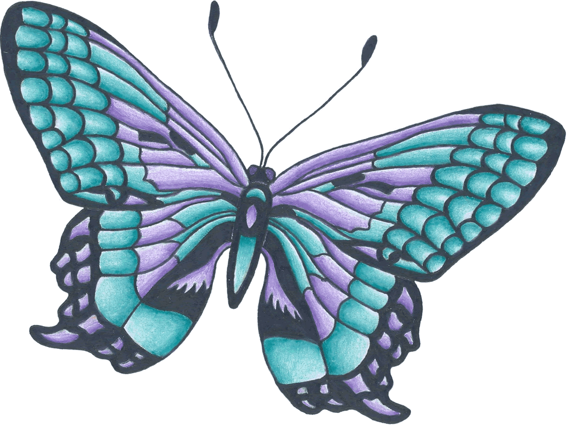 1000+ images about Tattoo | Finches, Bird tattoos and ...