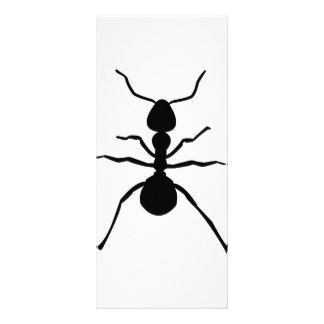 Ant Outline