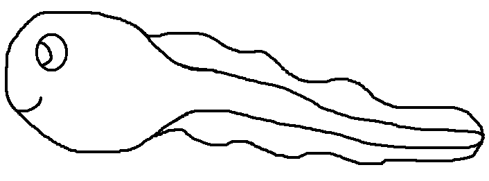 Todpole Cartoon Clipart