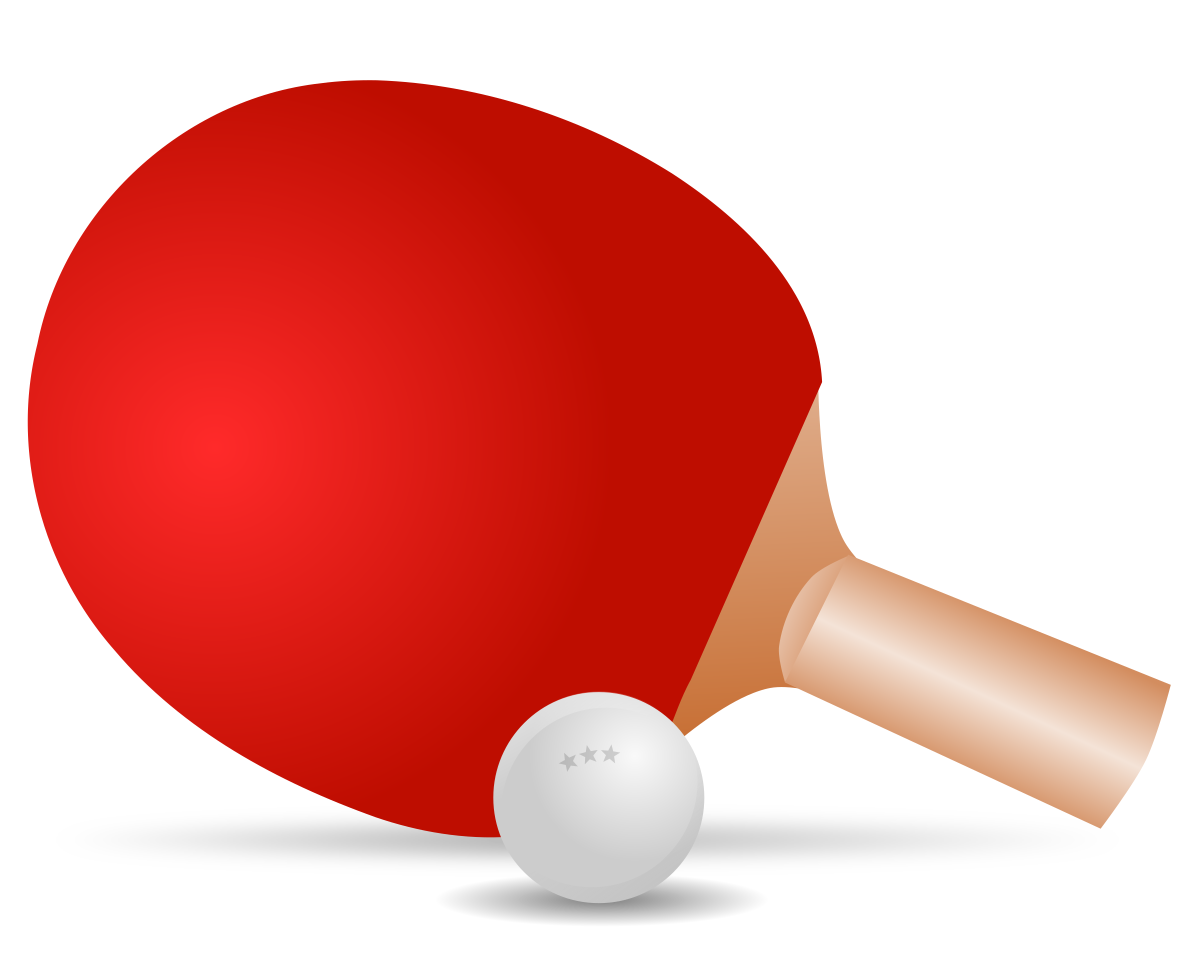 Table tennis shoes clipart