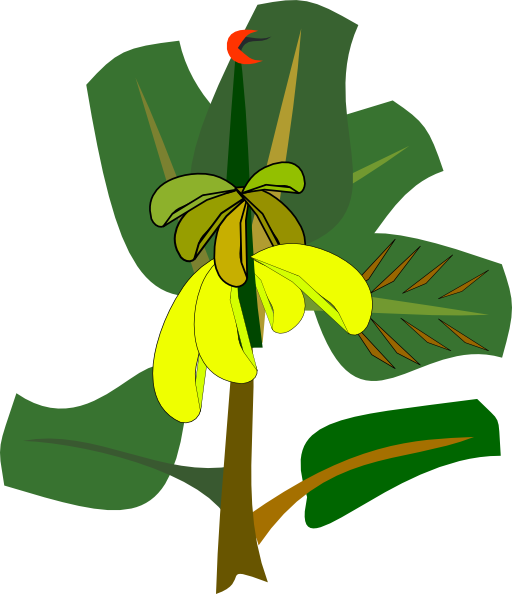 Clipart banana tree