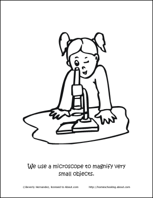 Parts of the Microscope Printables - Wordsearch and More
