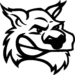 Wildcat mascot clipart