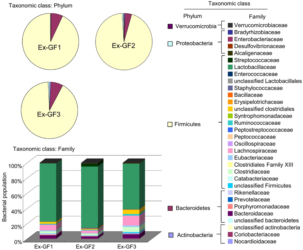 Frontiers | Cerebral Low-Molecular Metabolites Influenced by ...