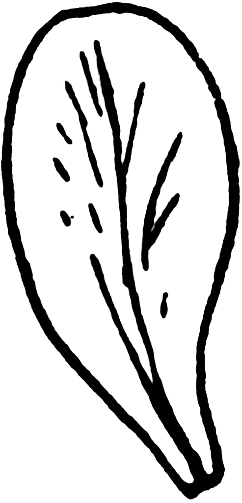 Flower Petal Clipart | Free Download Clip Art | Free Clip Art | on ...