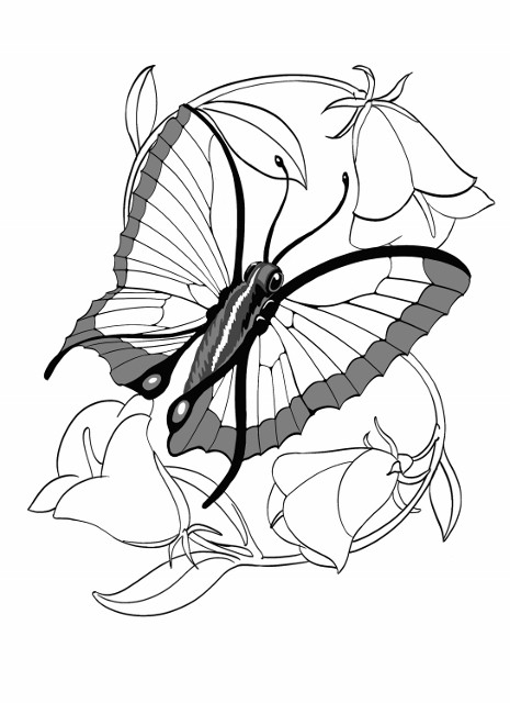 Butterfly Tattoo Design