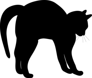 Silhouette Of A Wolf On White Stock Photo Liane Nothaft ...
